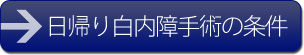 A蔒p̏