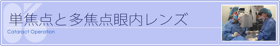 A蔒p