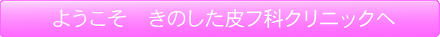 悤̂畆ȃNjbN